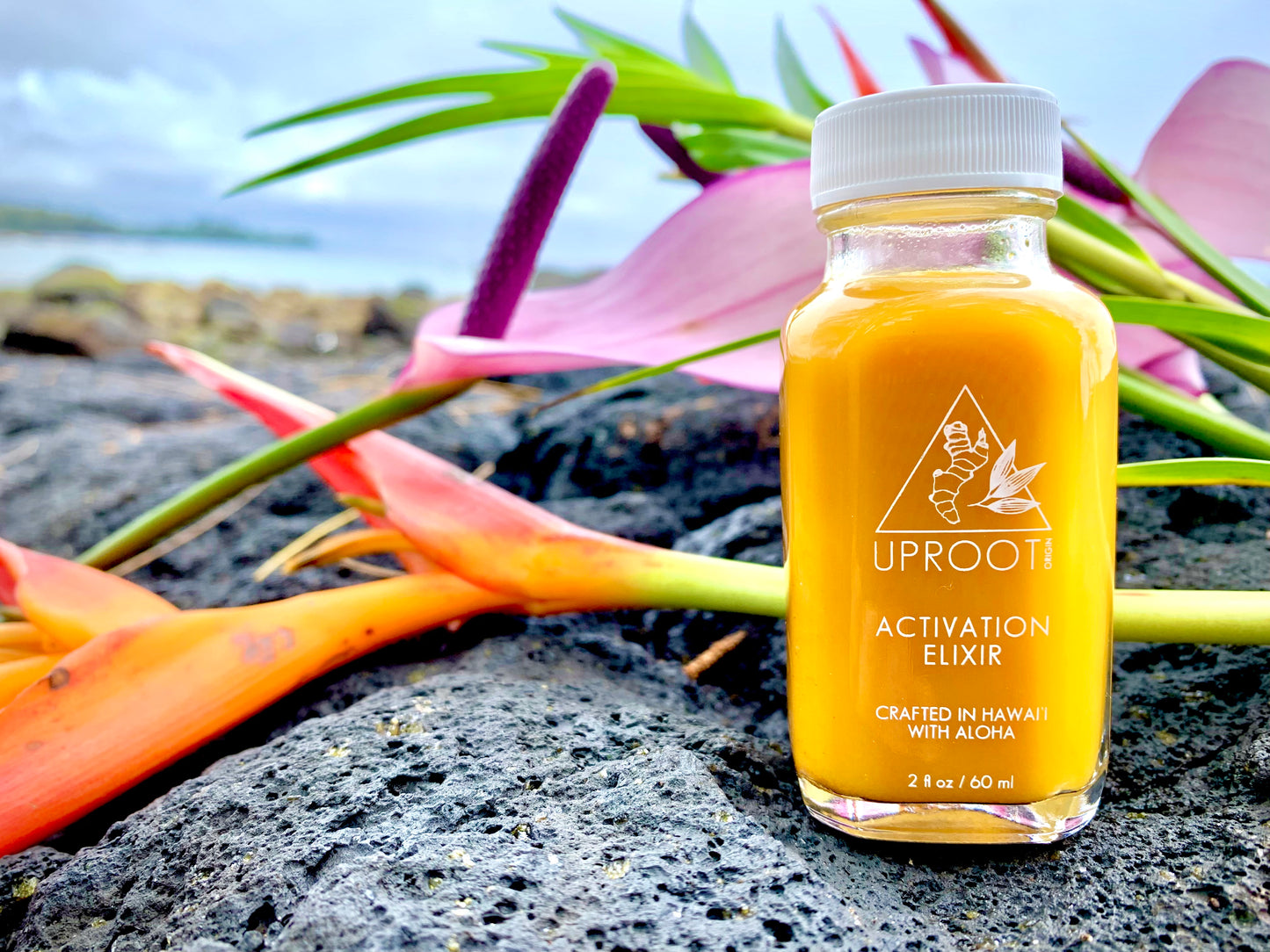 Activation Elixir - 2 oz