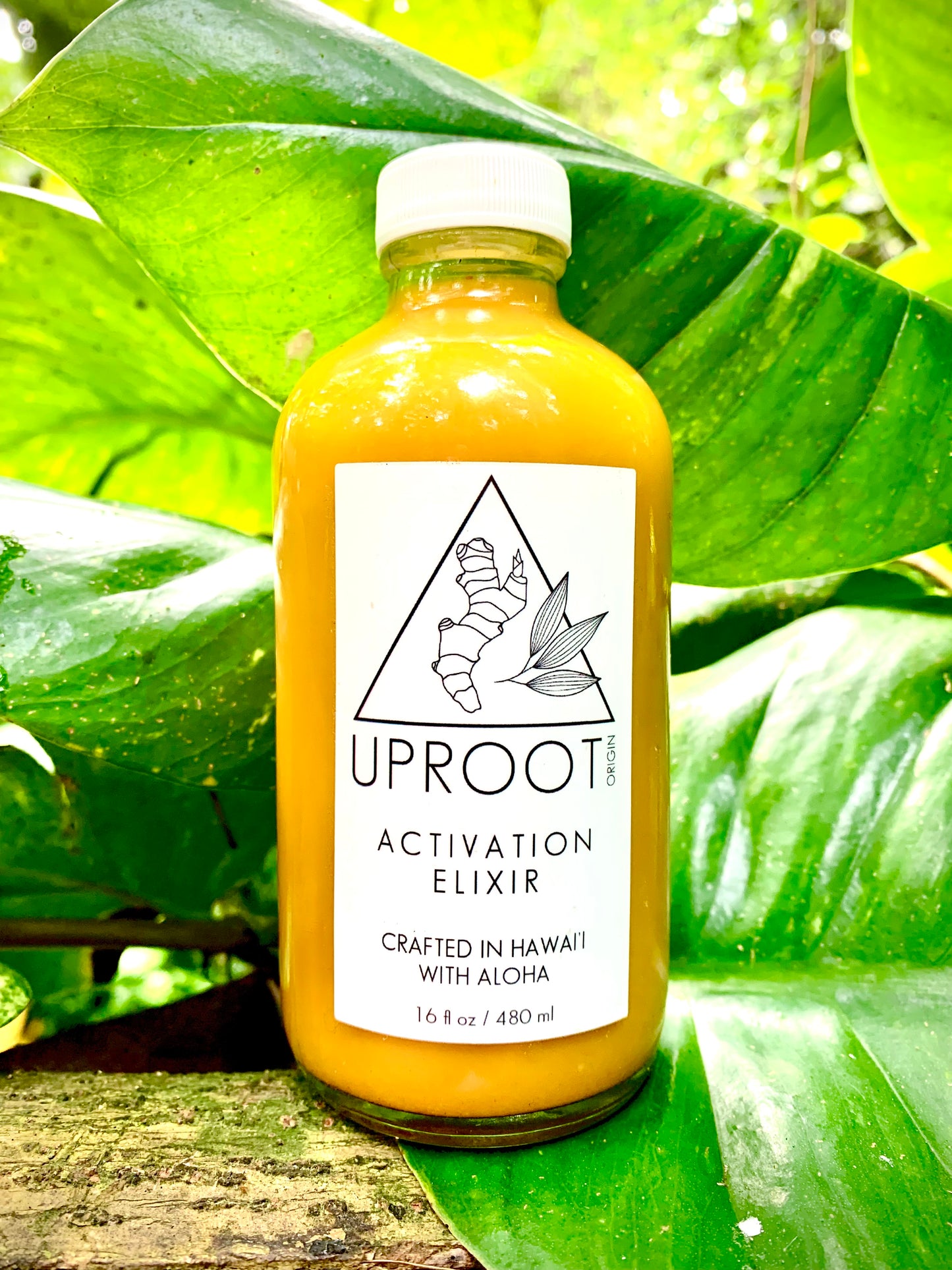 Activation Elixir - 8 oz