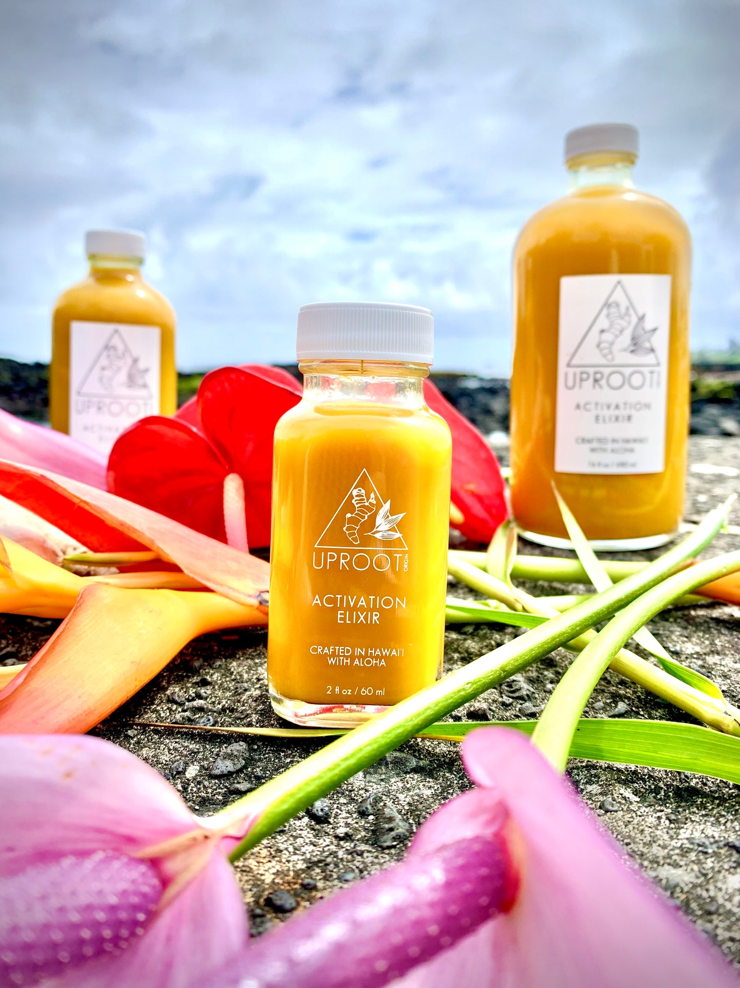 Activation Elixir - 2 oz