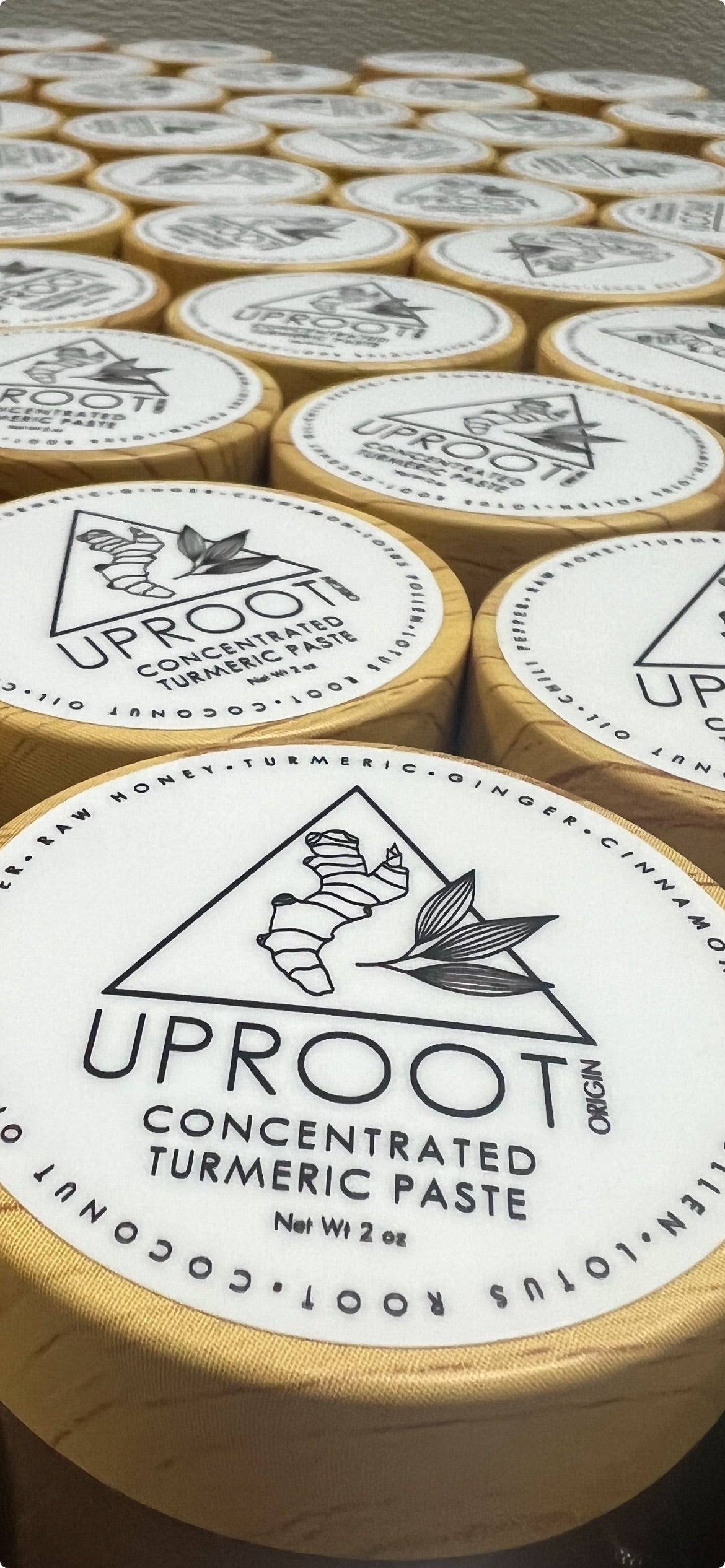 Concentrated Turmeric Honey Paste - 2 oz