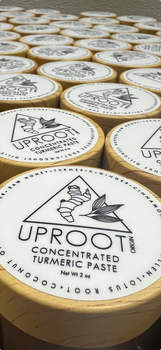 Concentrated Turmeric Honey Paste - 2 oz