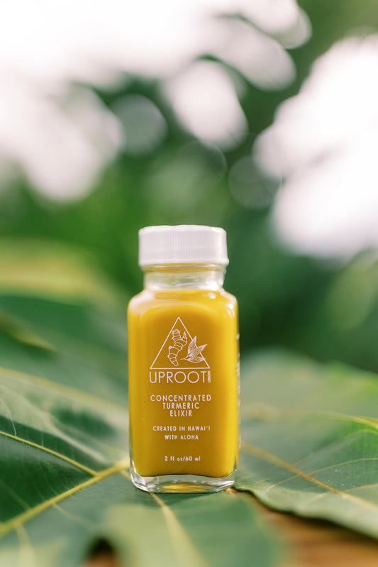 Concentrated Turmeric Elixir - 2 oz