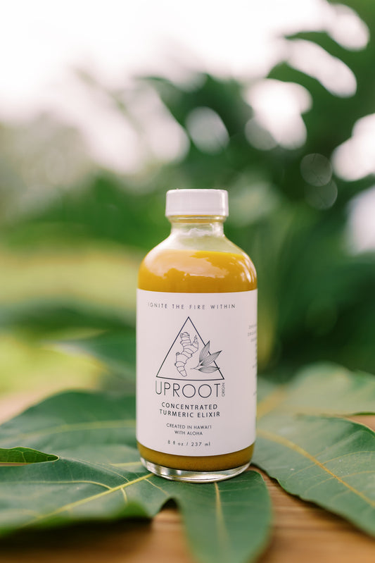 Concentrated Turmeric Elixir - 8 oz