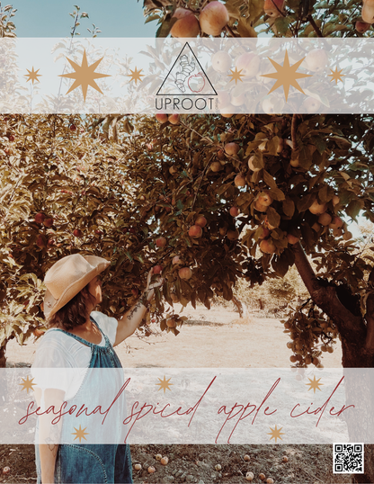 Seasonal Spiced Apple Cider