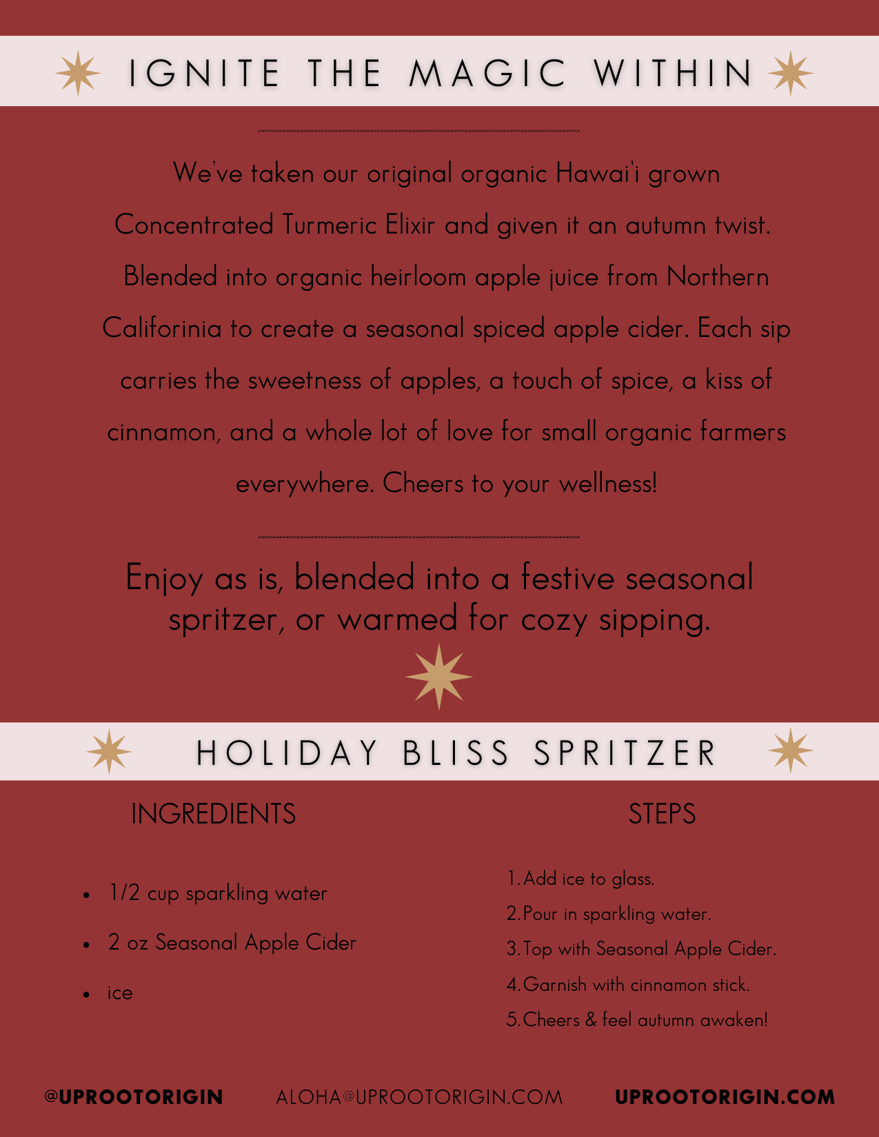 Seasonal Spiced Apple Cider