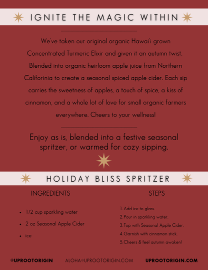 Seasonal Spiced Apple Cider